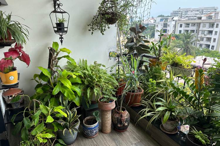 My Sanctuary for Reflection and Renewal